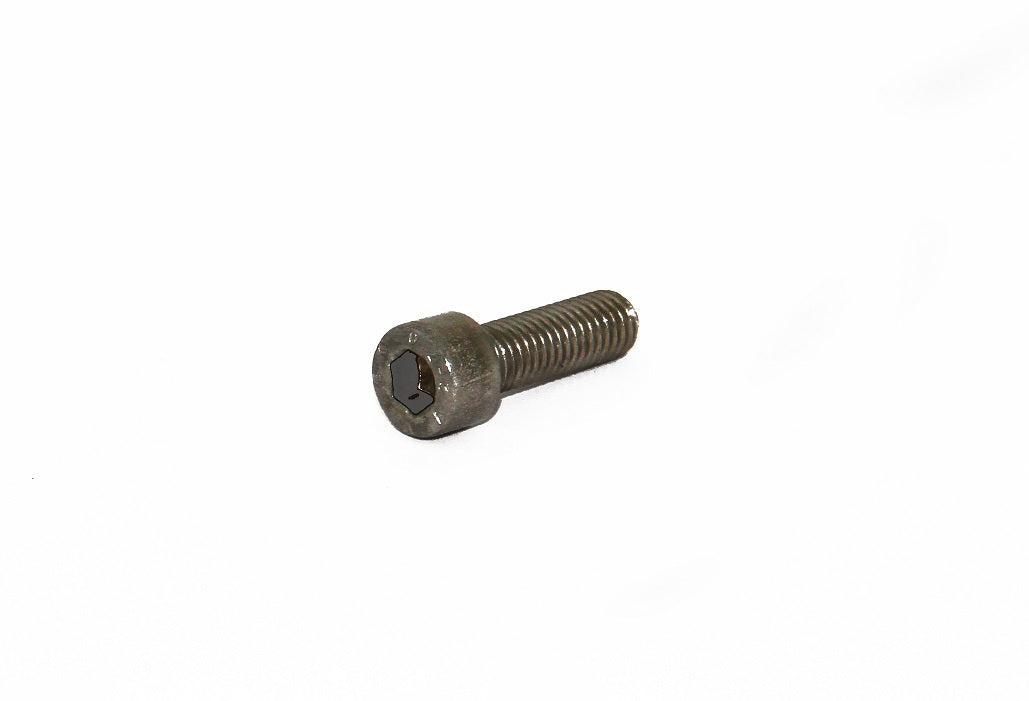 Speck Inbusschr. M8x25 f. Gewinde Motorfl (ab1/95) - Pool Me Up