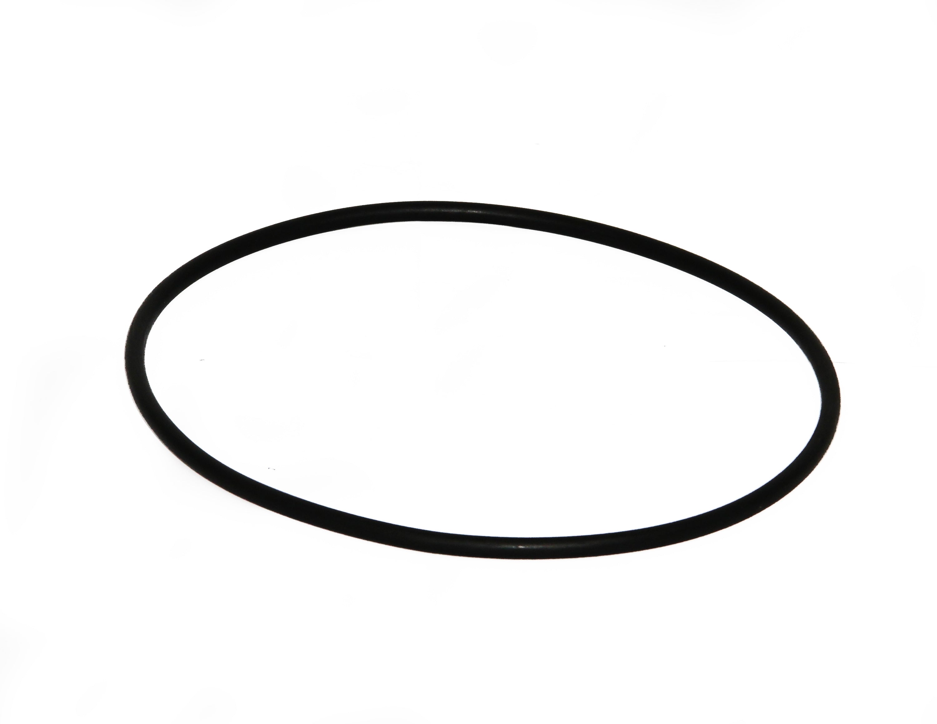 Speck O-Ring Gehäuse 190x5,5mm zu Badu 90 (alle) - Pool Me Up