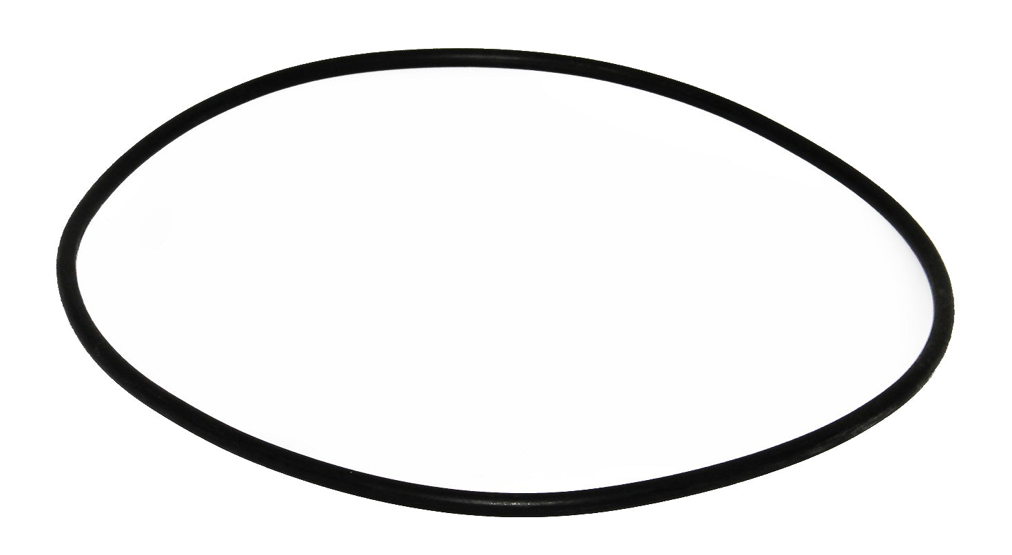 Speck O-Ring Filtergehäuse zu Badu Star 69/12 - Pool Me Up