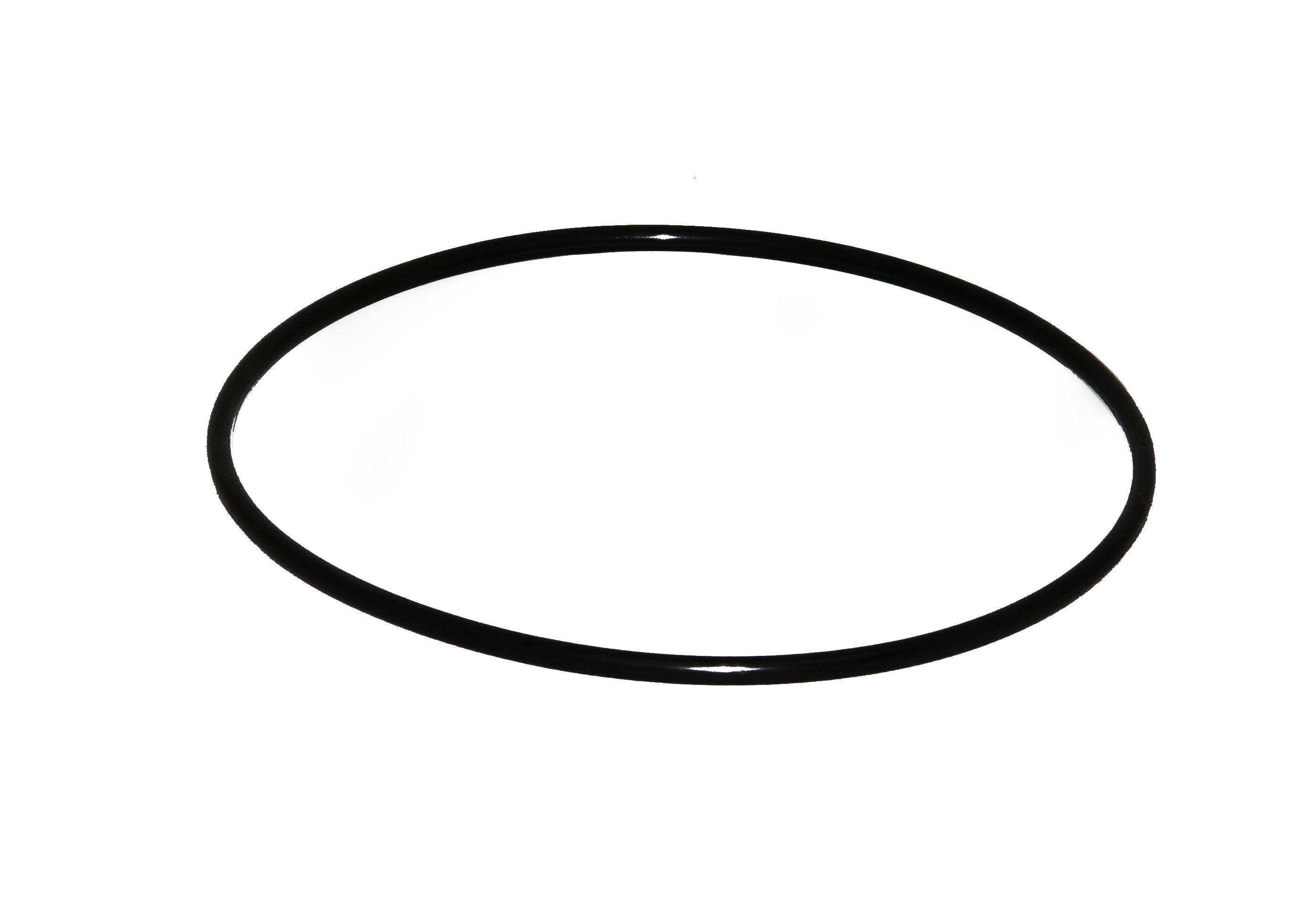 Speck O-Ring für Deckel 185x6mm zu Badu 93/60-110 - Pool Me Up