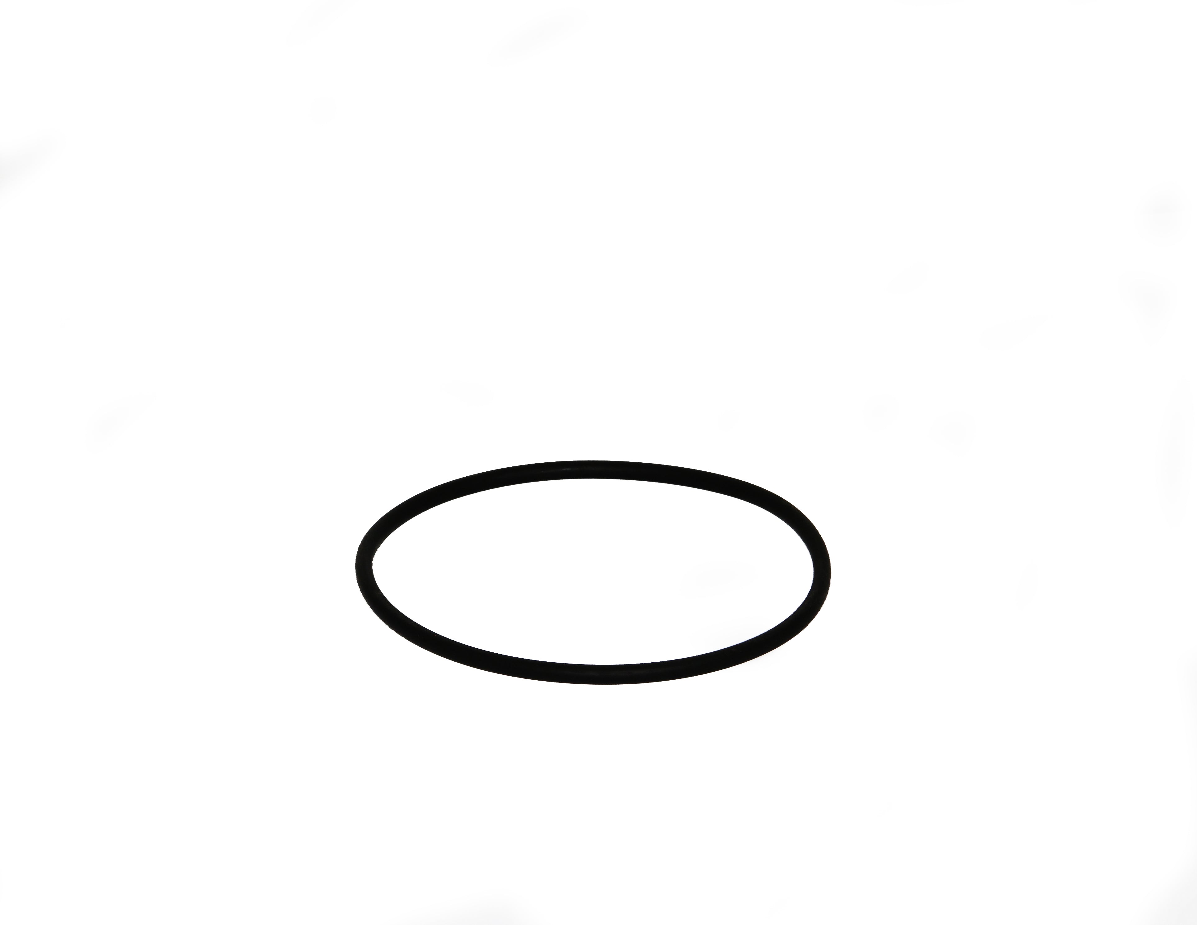 Speck O-Ring für Deckel zu Badu 90/25 - 90/48 - Pool Me Up