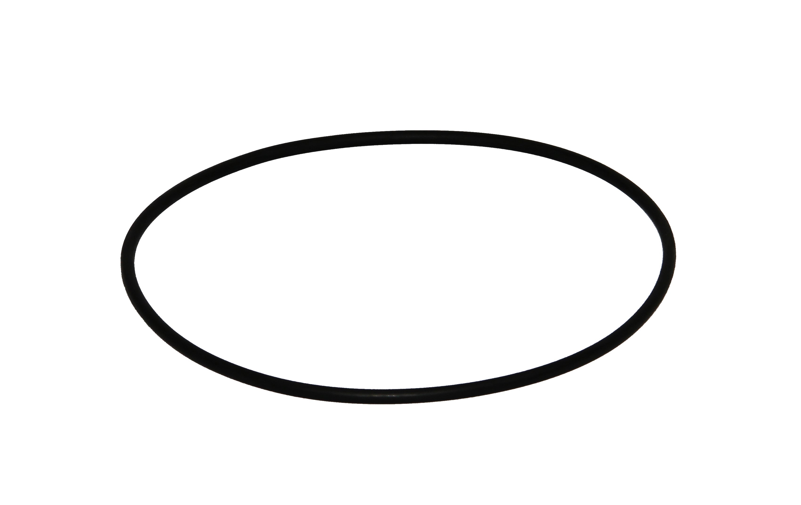 Speck O-Ring für Gehäuse zu Badu 90/25 - 90/48 - Pool Me Up