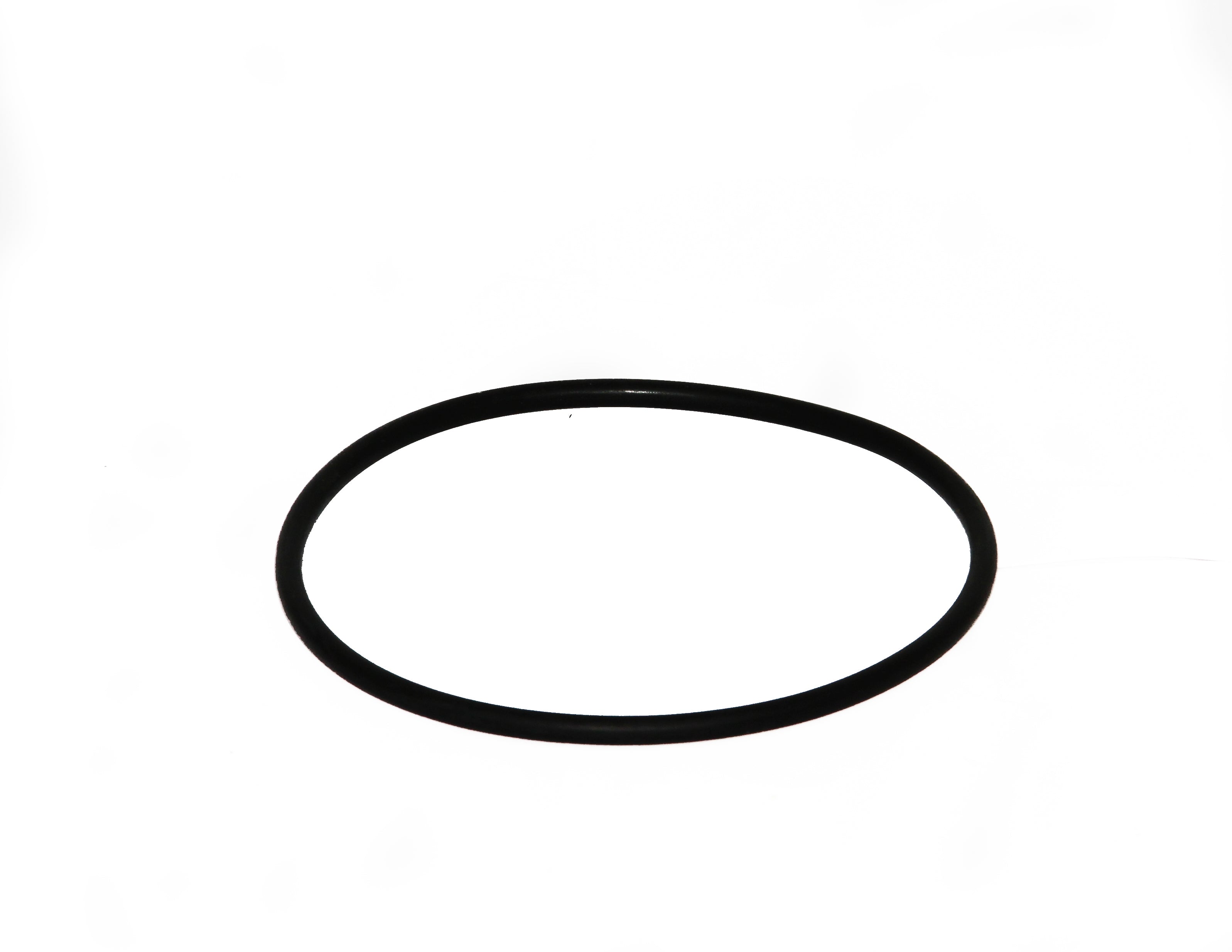 Speck O-Ring für Leitsch. zu Badu 90/25 - 90/48 - Pool Me Up