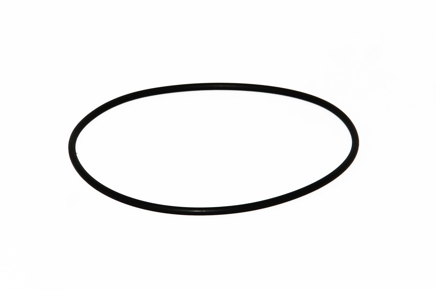 Speck O-Ring für Gehäuse 144 x 4mm zu Badu 21 - 40 - Pool Me Up
