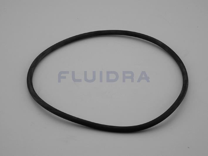 O-Ring für alle Catabric Filter Pos. 5 - Pool Me Up
