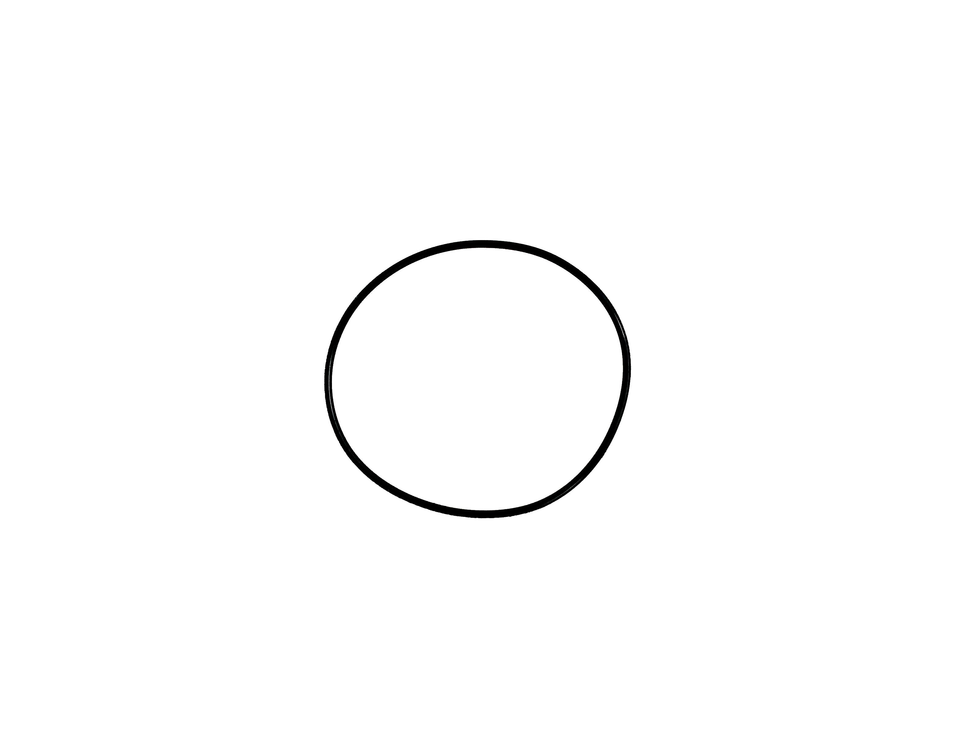 Allfit O-Ring d 53x1,5 zu UWS - Pool Me Up
