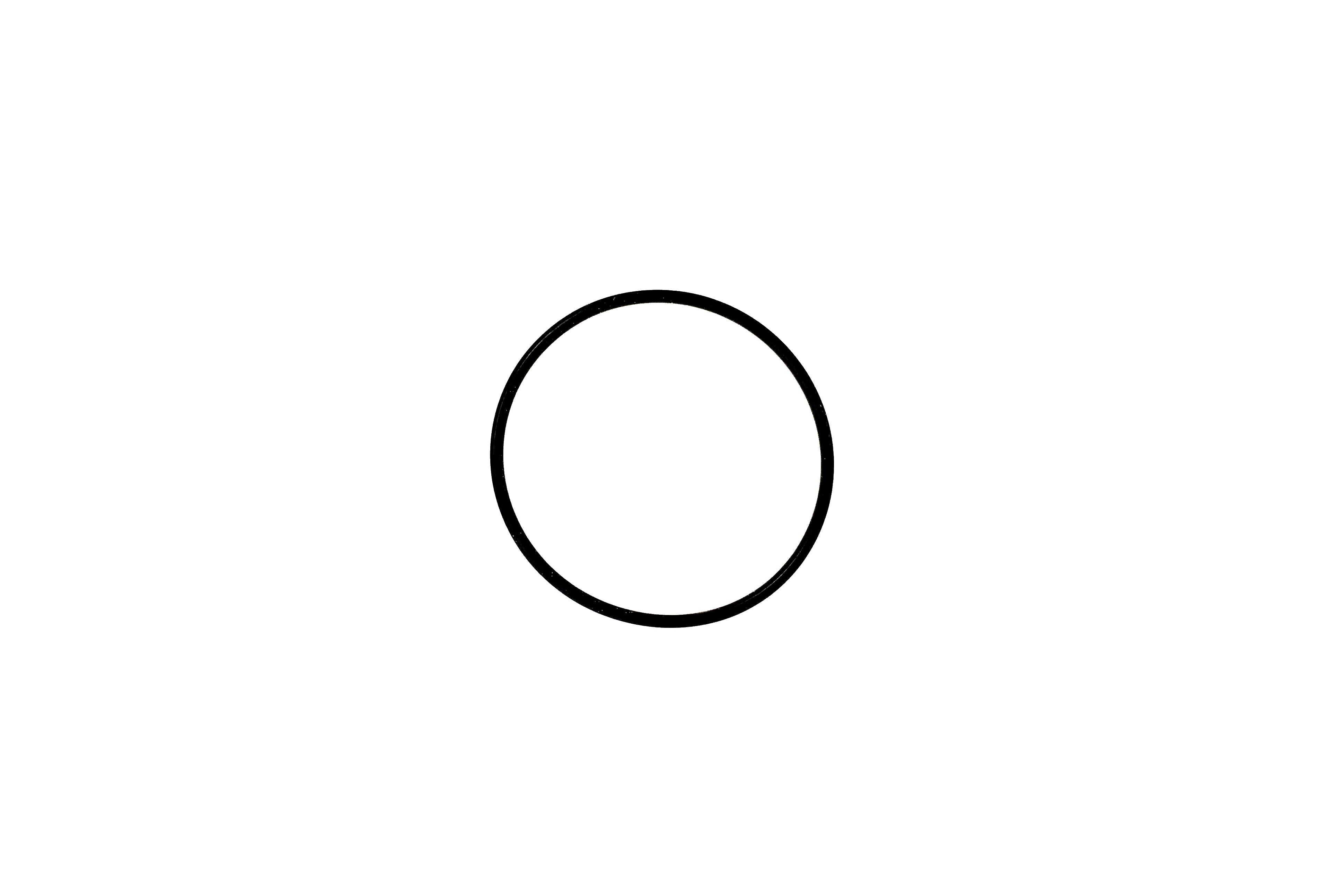 Allfit O-Ring 60 x 2.5 - Pool Me Up