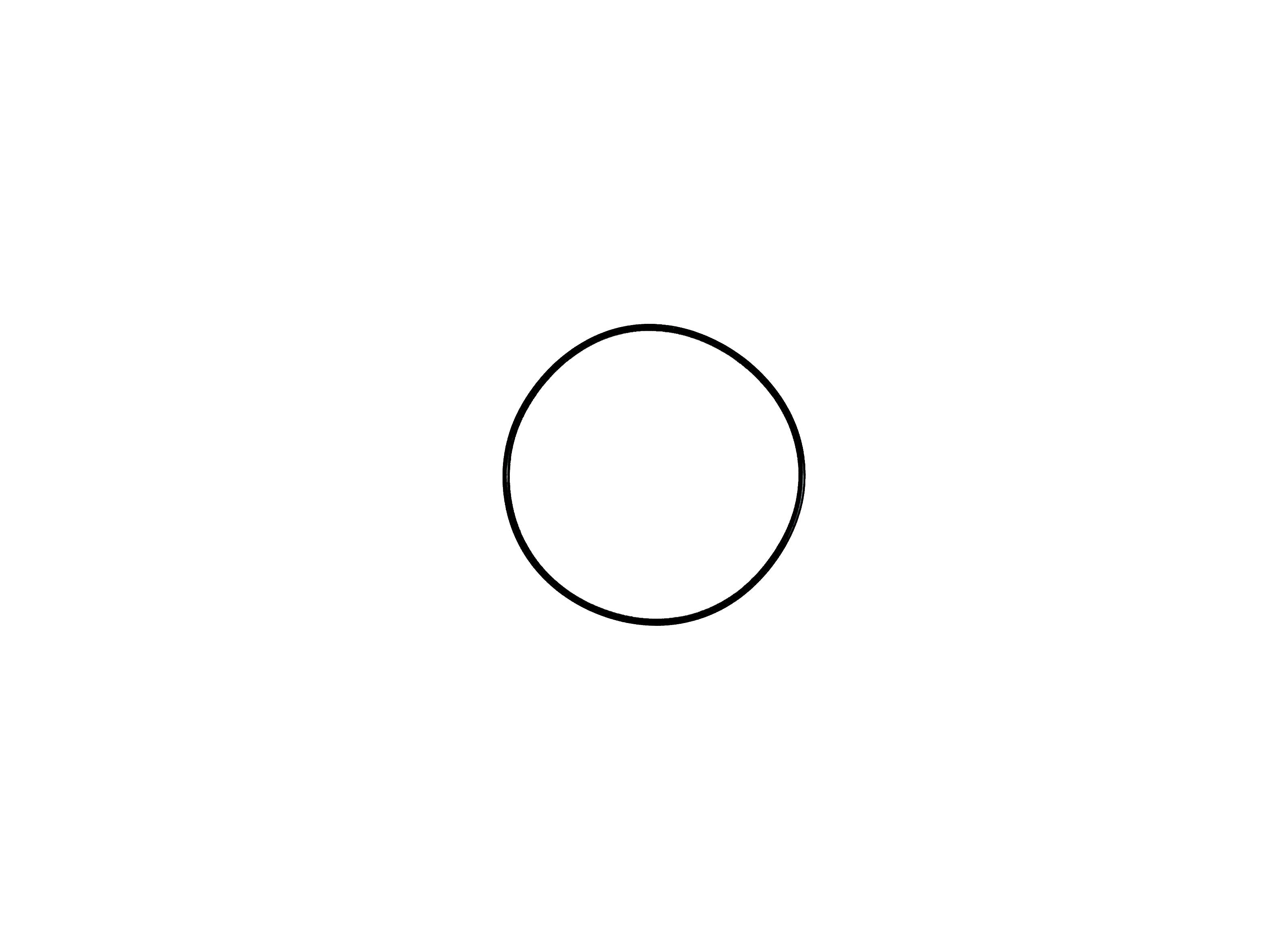 Allfit O-Ring d 57x1,5mm zu UWS - Pool Me Up