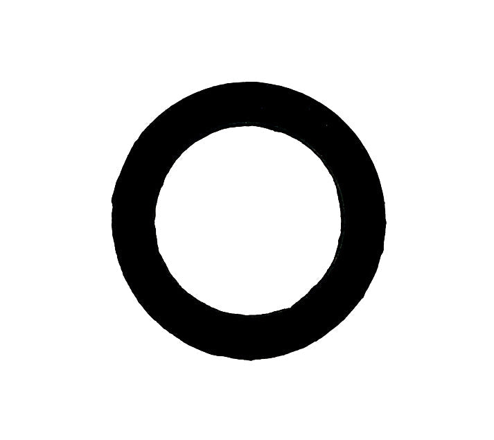 Flachdichtung für Übergangsverschraubung V4A 3/4" - Pool Me Up