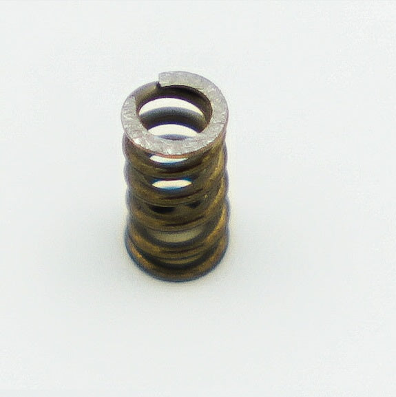Fluvo Druckfeder Pos. 42 u.42G - Pool Me Up