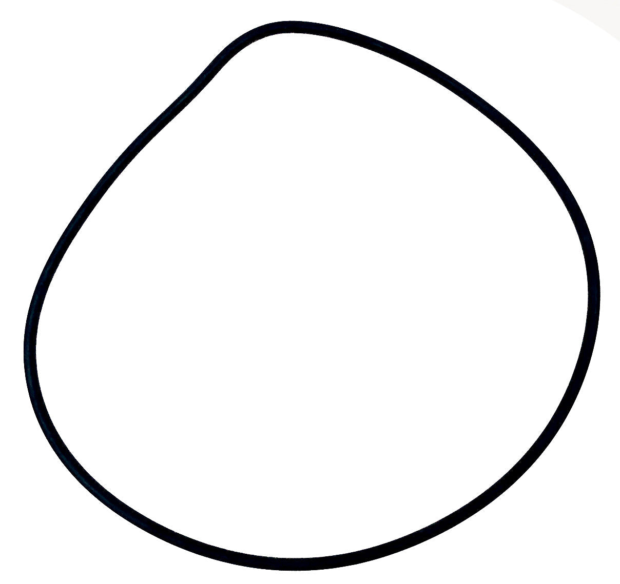 UWE O-Ring d210/220x5 - Pool Me Up