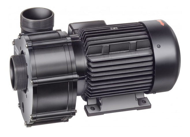 BADUJET Pumpe Typ. 21-81/33 400V, 3kW - Pool Me Up