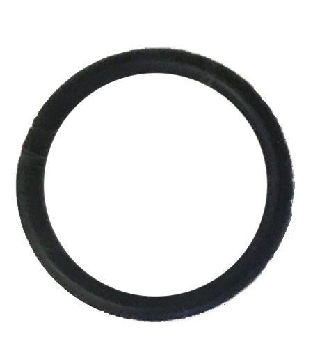 Apic F10 Perbunan Dichtung für Filtergehäuse - Pool Me Up