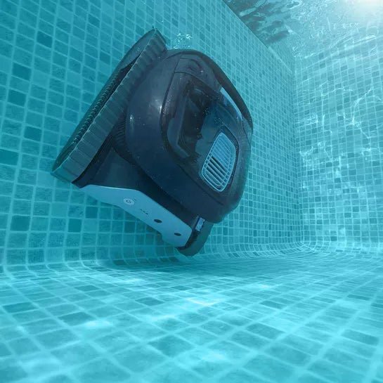 Dolphin LIBERTY 300 mit PVC Bürsten und Ladegerät - 101026 - 7290119717095 - Pool Me Up