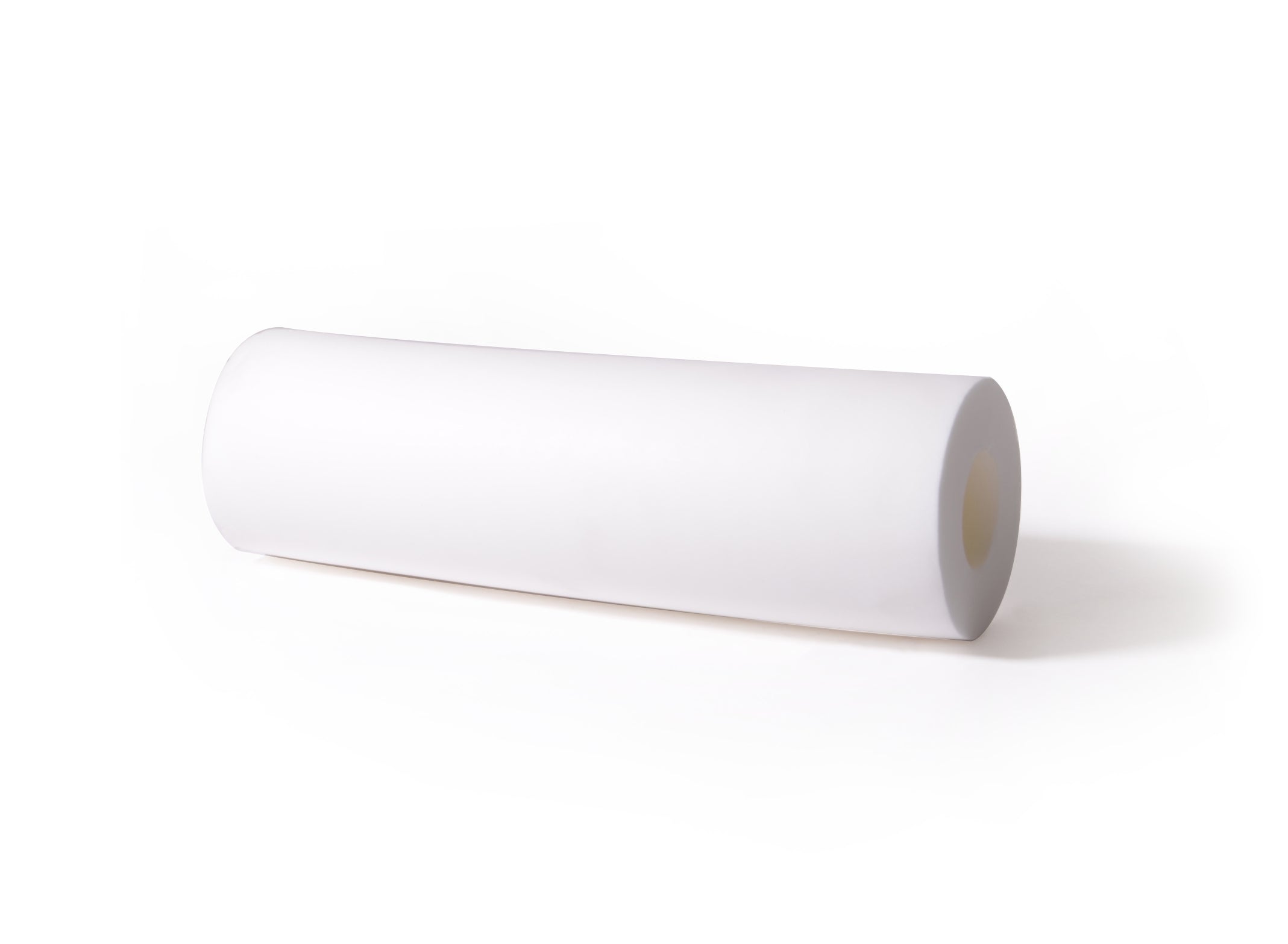 Dolphin Spezialbürste weiss Diagnostic (lang) - Pool Me Up