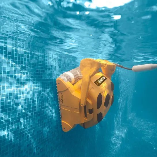 Dolphin Wave 100 mit Caddy, Wunderbürsten - 101039 - 7290018512609 - Pool Me Up