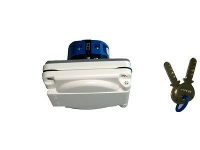 Grando Schlüsselschalter UP Typ Feller Nr. 2004178 - 011-009 - Benutzerdefiniertes Produkt - Pool Me Up