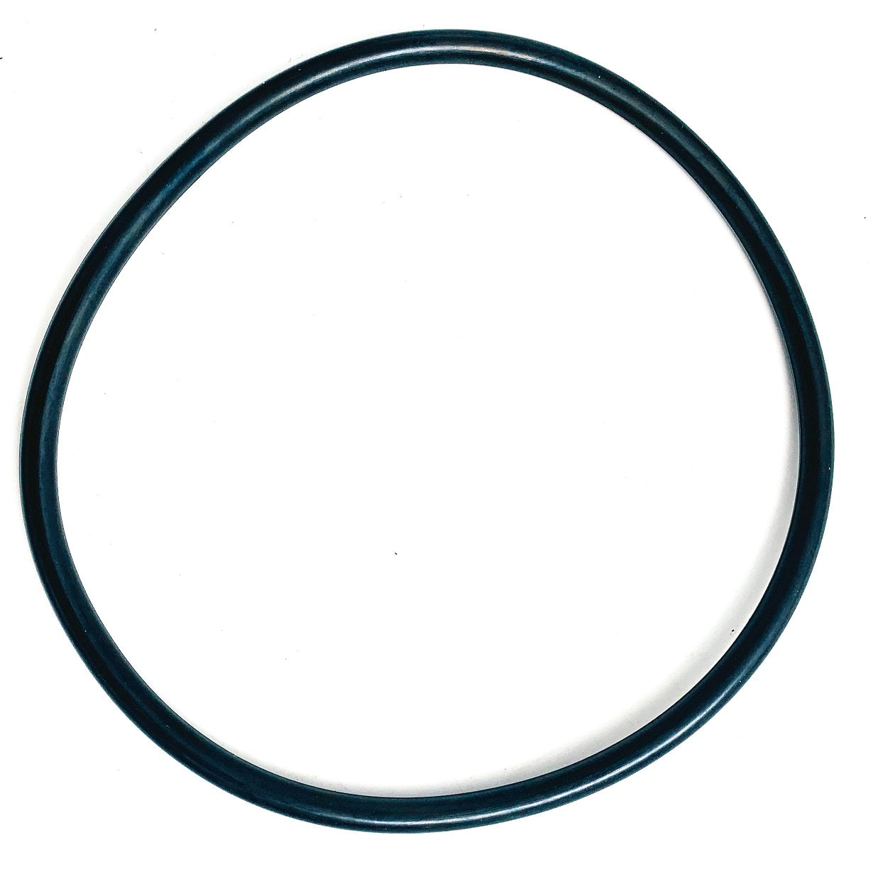 Intelliflo O-Ring Vorfilterdeckel - Pool Me Up