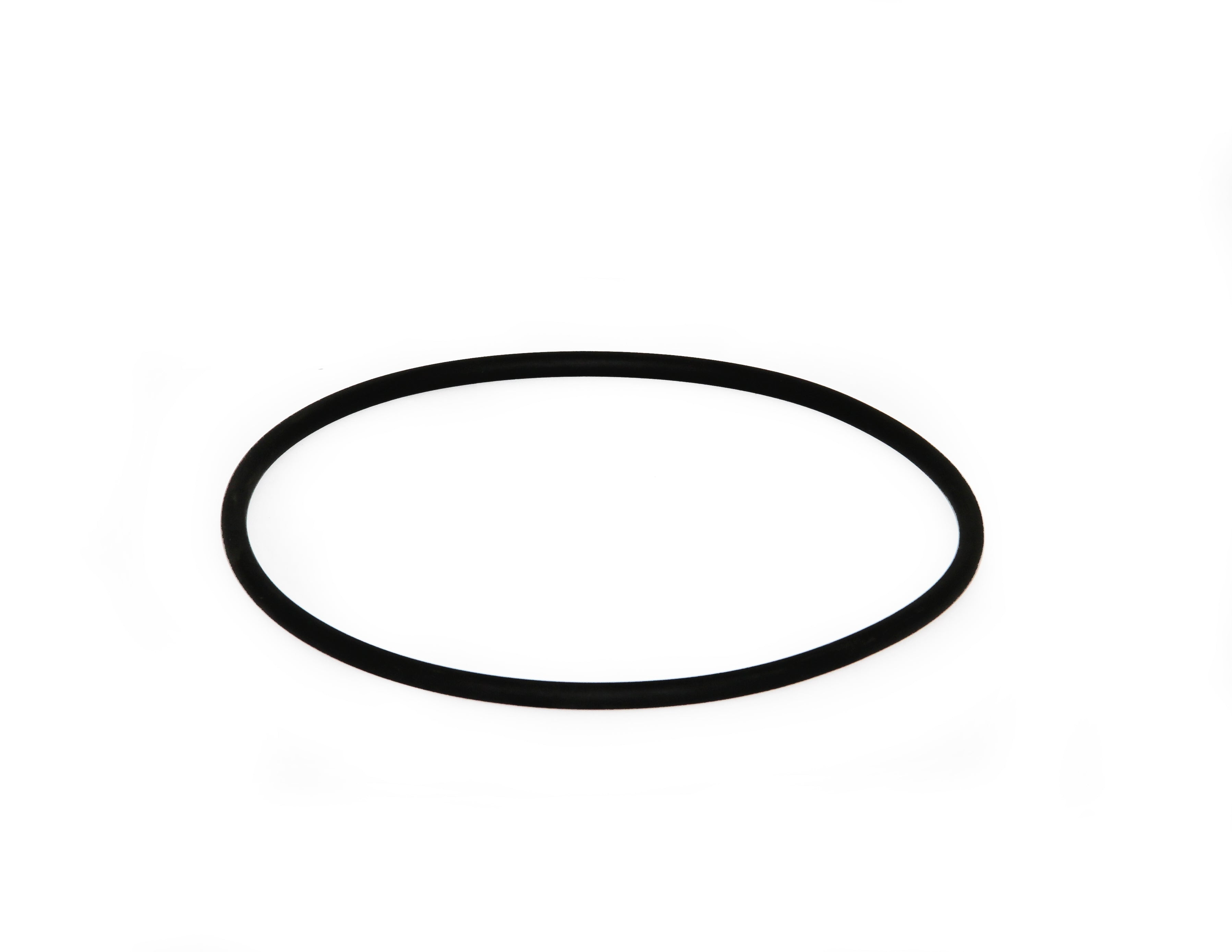 Speck O-Ring für Deckel zu Badu Resort 60 - 110 - Pool Me Up