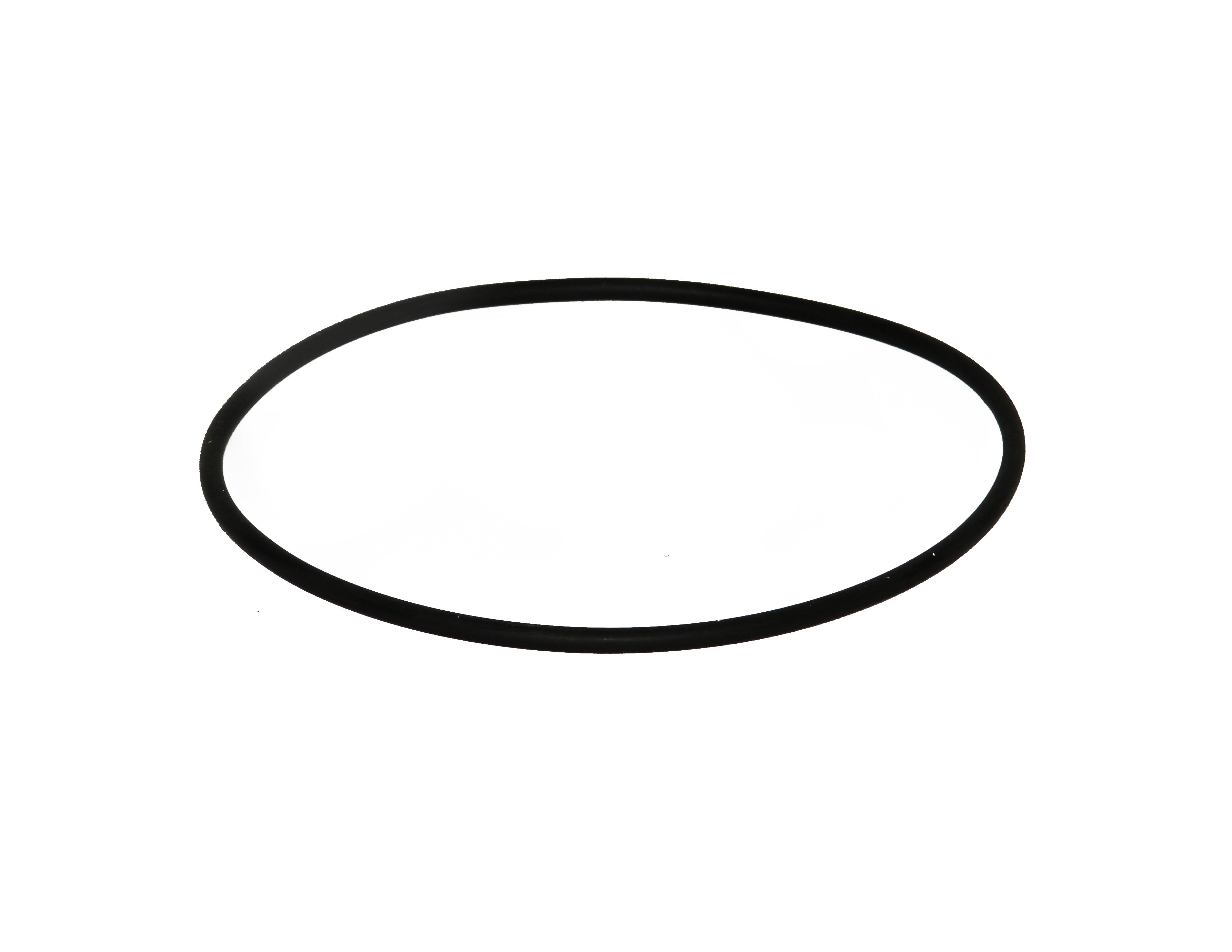 Speck O-Ring für Gehäuse 164,47x5,33mm zu - Pool Me Up