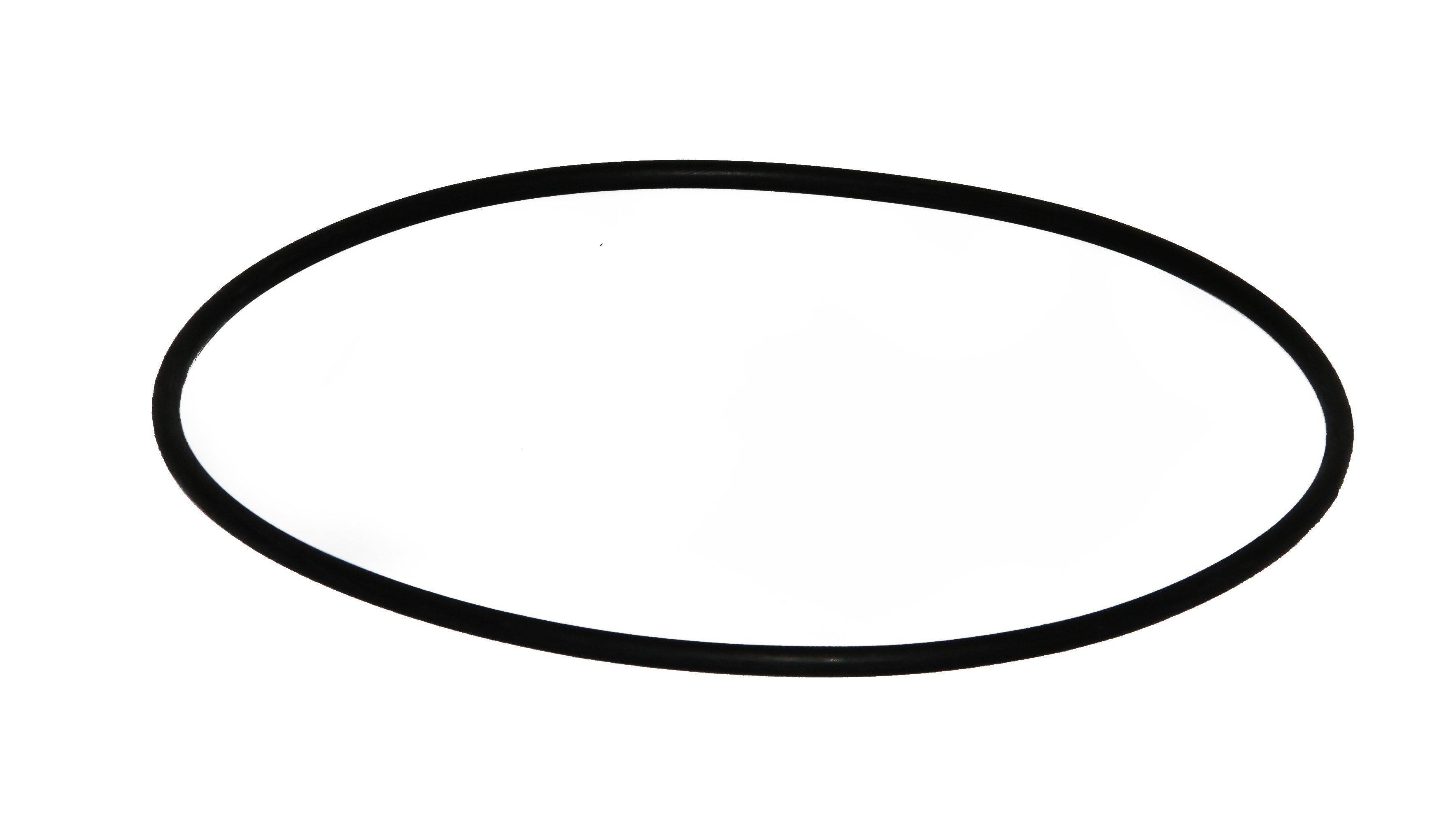 Speck O-Ring für Gehäuse zu Badu 40/10 - 40/32 - Pool Me Up