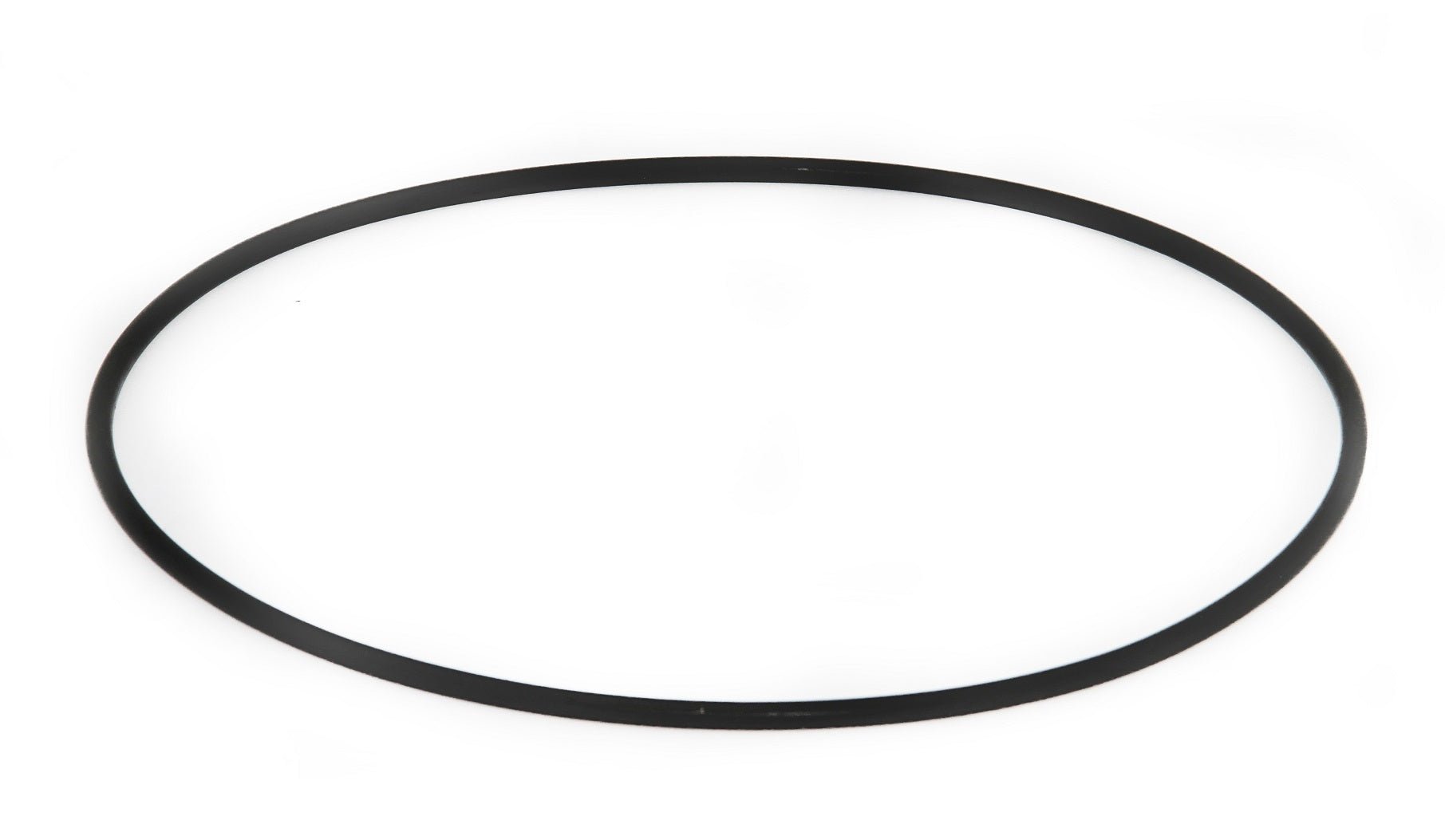 Speck O - Ring für Gehäuse zu Badu Resort 60 - 110 - 033-336 - 0002902041220 - Pool Me Up
