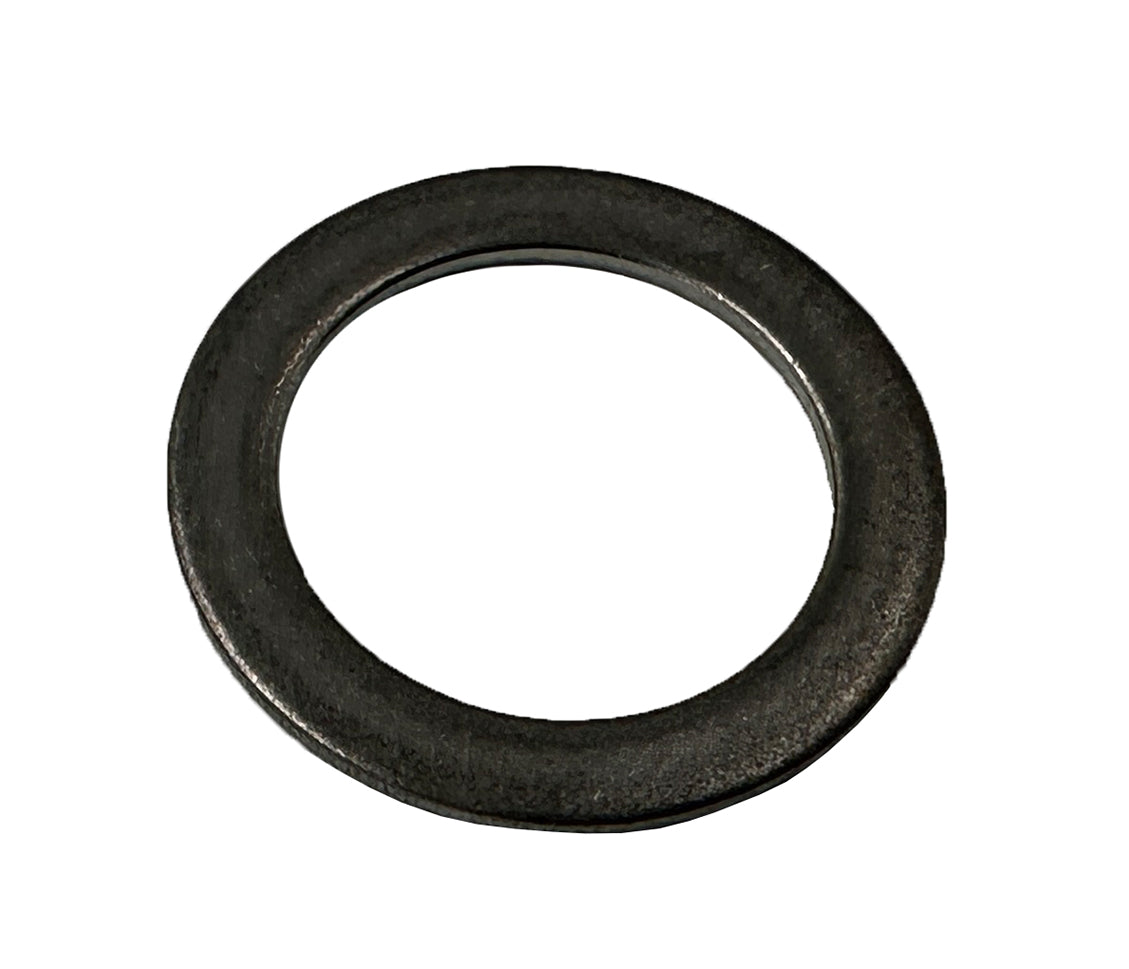 Speck Passscheibe 14 x 20 x 1mm, A2 - Pool Me Up