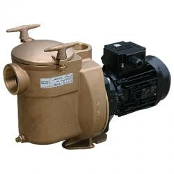 Sta-Rite Bronze Pumpe BRC-1 1/2PS 0,37kW 230V - Pool Me Up