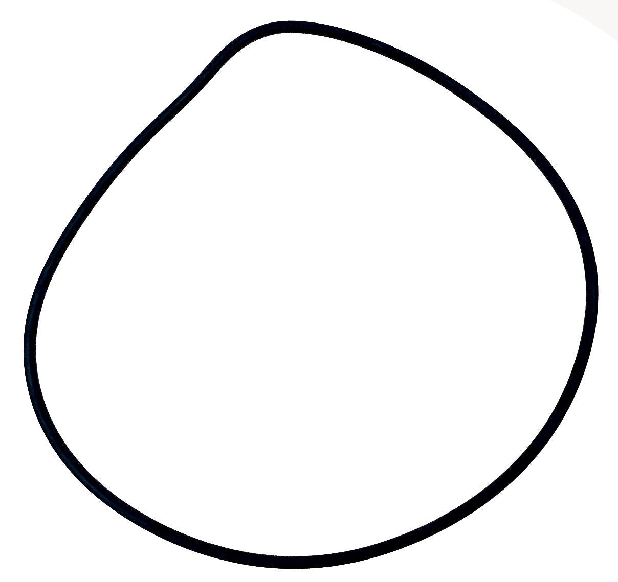 UWE O - Ring d210/220x5 - 114-35360 - 4251228500292 - Pool Me Up