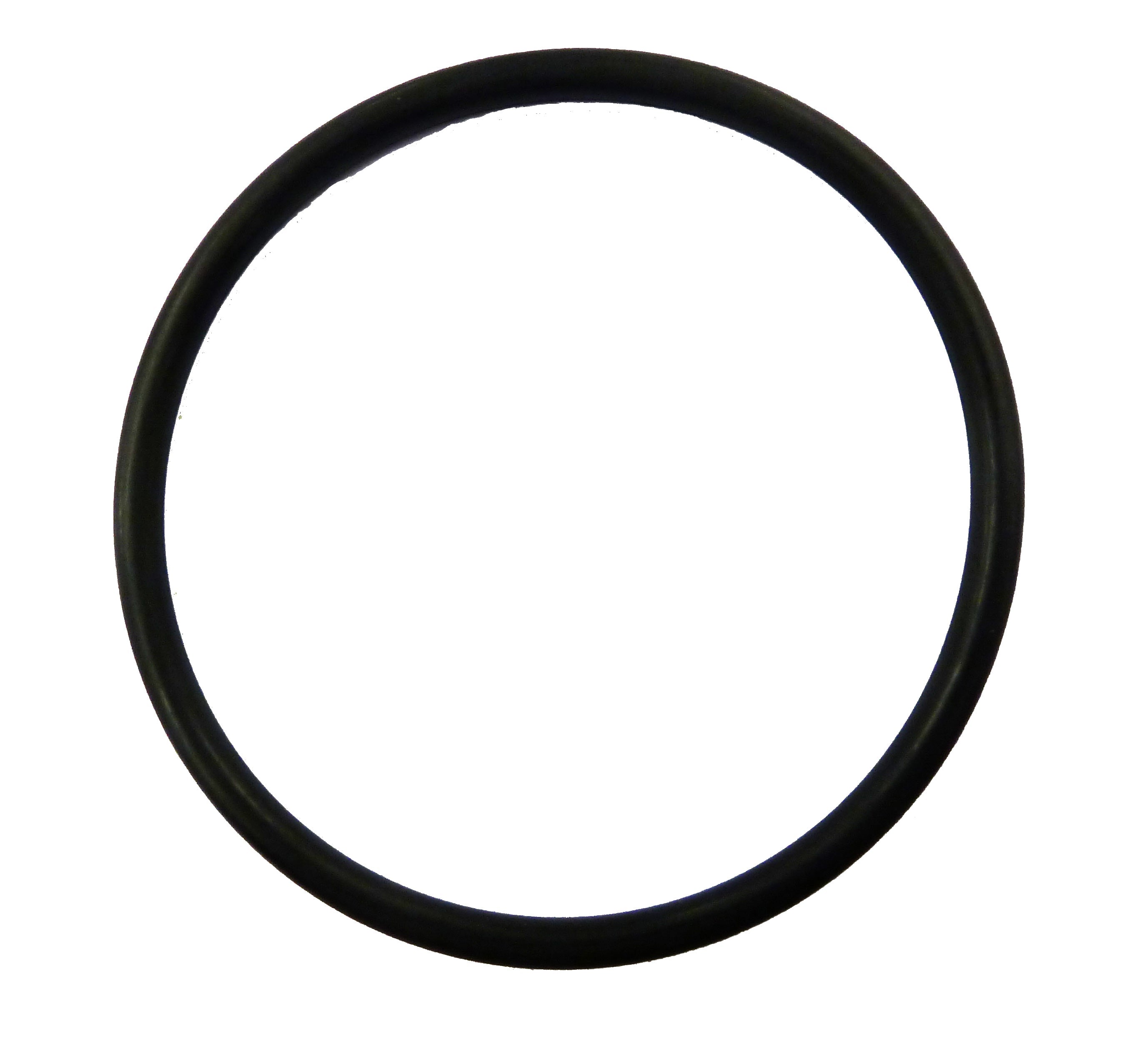 Zodiac O-Ring für Zellenverschraubung - Pool Me Up