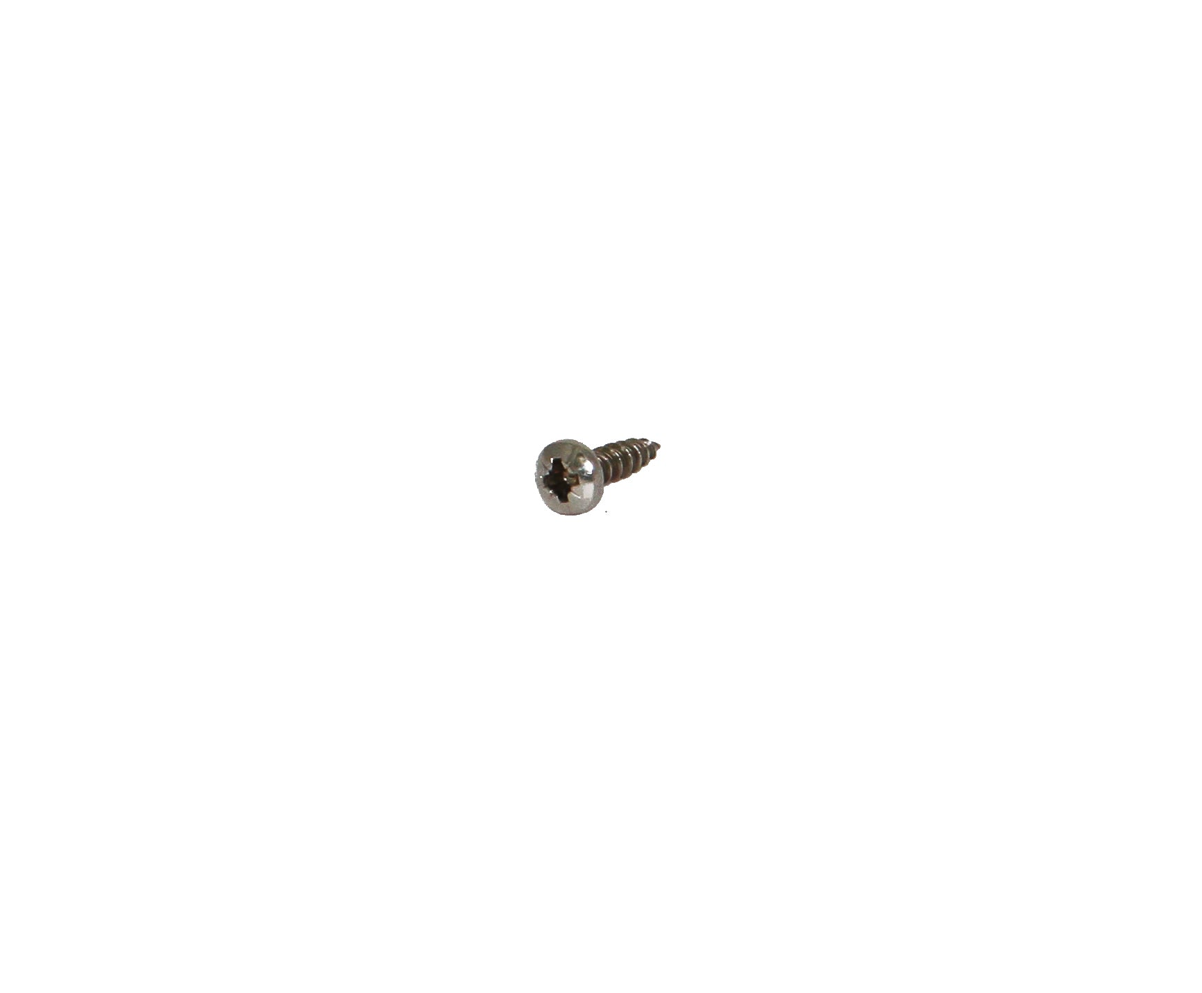 Speck Senkschraube 4x16mm zu Badu 90/25 - 90/48 - Pool Me Up