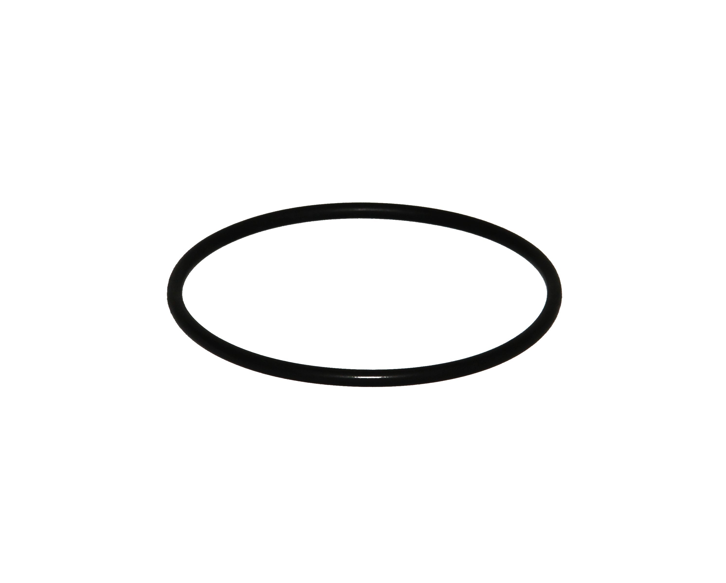 Speck O-Ring für Gehäuse zu Badu Picco - Pool Me Up