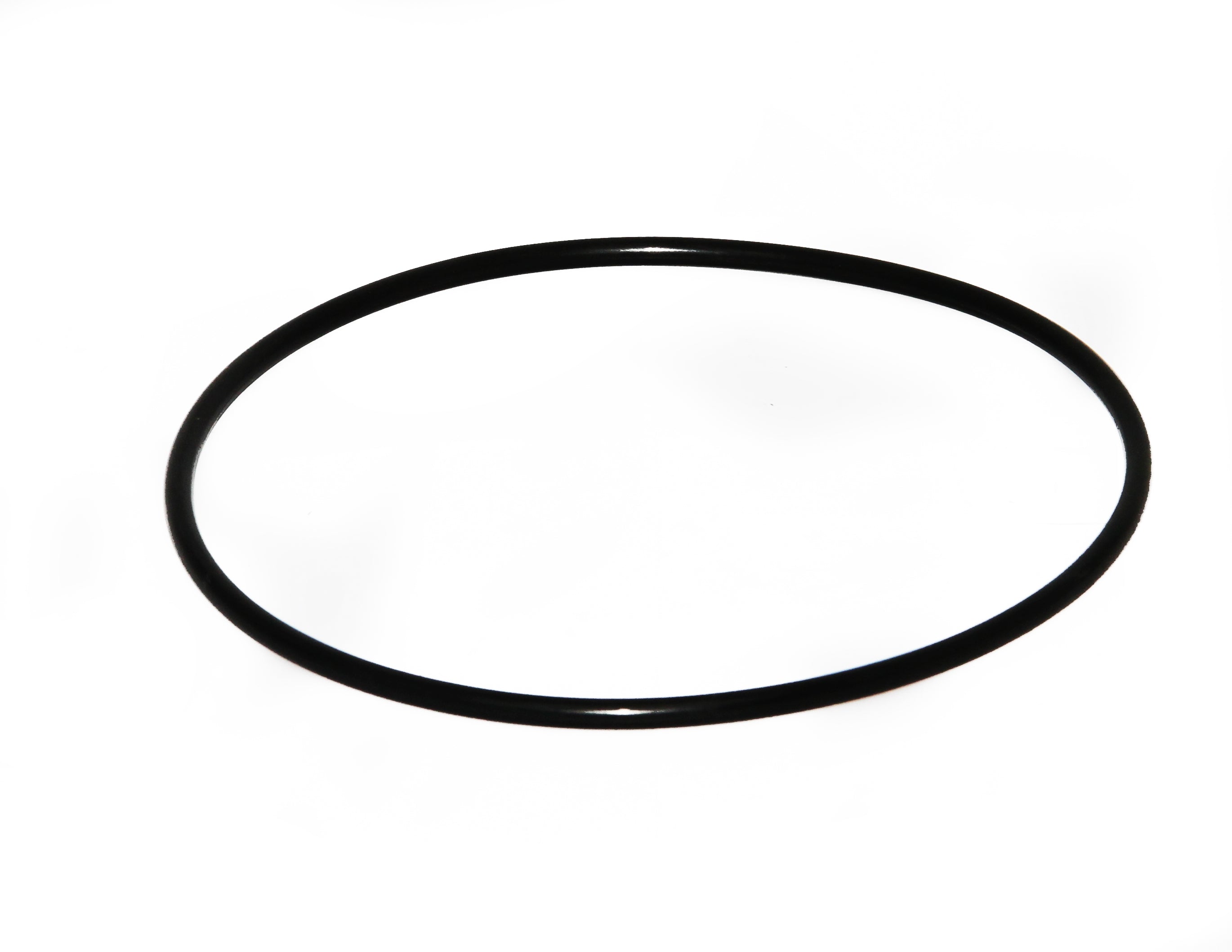 Speck O-Ring für Gehäuse zu Badu Eco Touch - Pool Me Up
