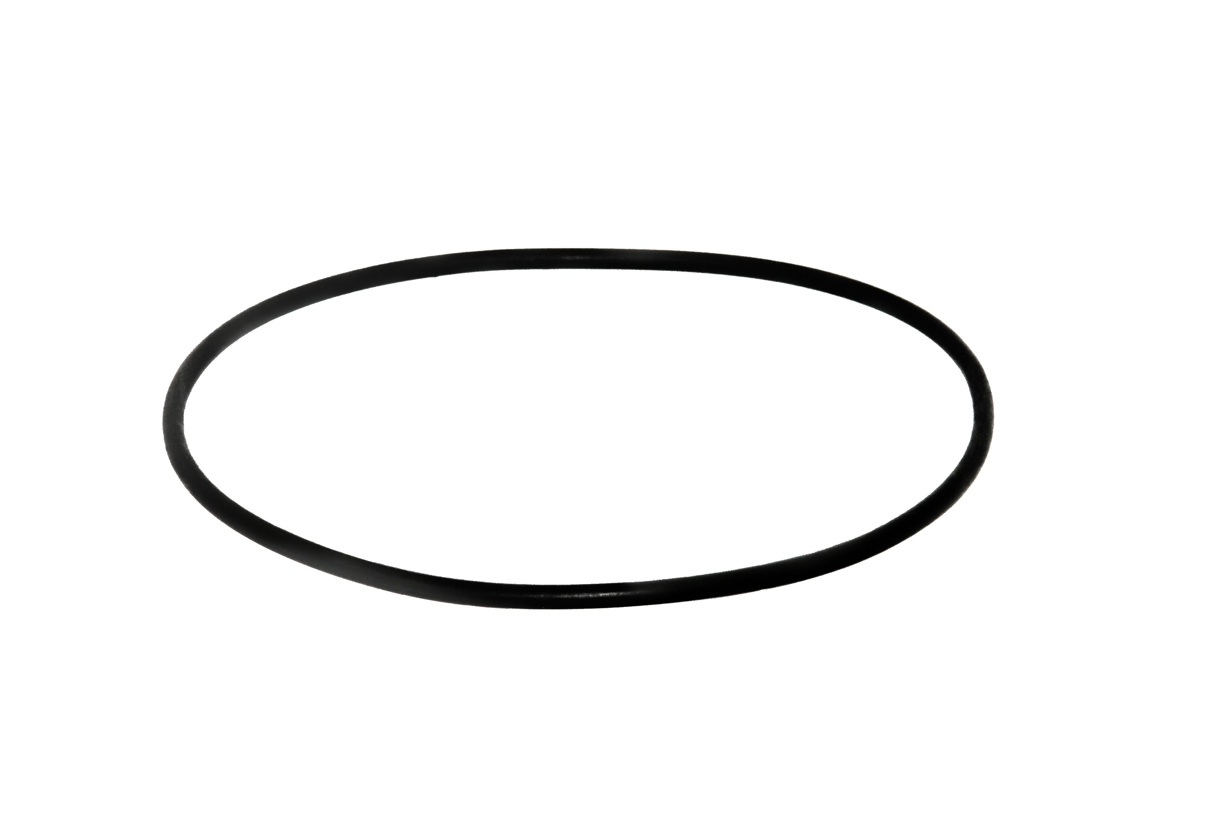 Speck O-Ring für Dichtungsgehäuse, 206 x 6 mm - Pool Me Up