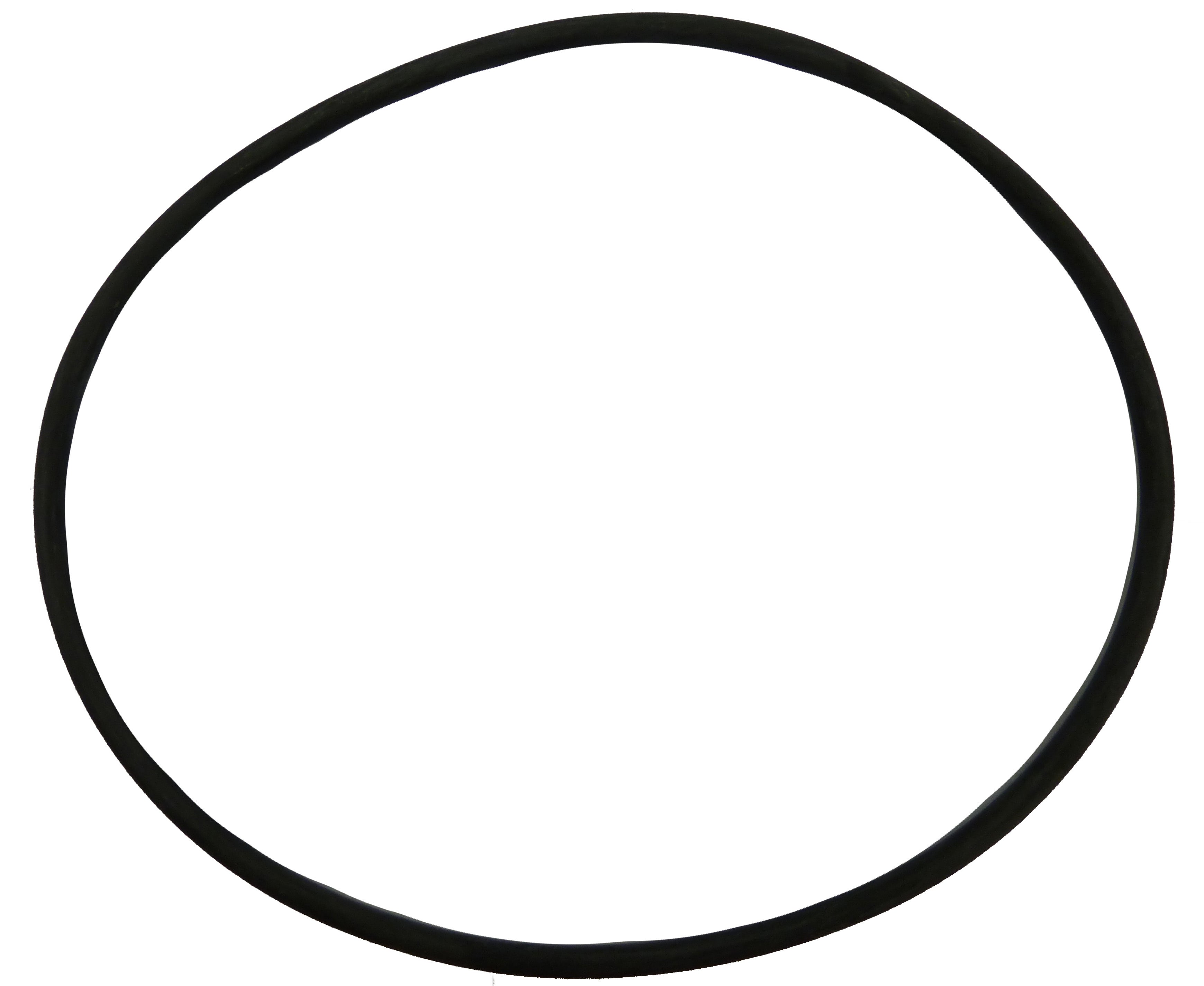 O-Ring für alle Pumpen Pos. 18 - Pool Me Up