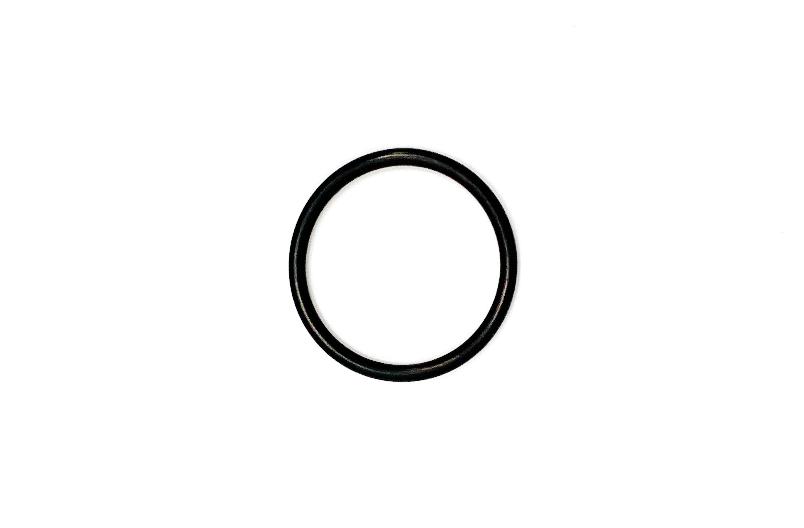 Triton O-Ring Ventil Adapt. Pos. 19 - Pool Me Up