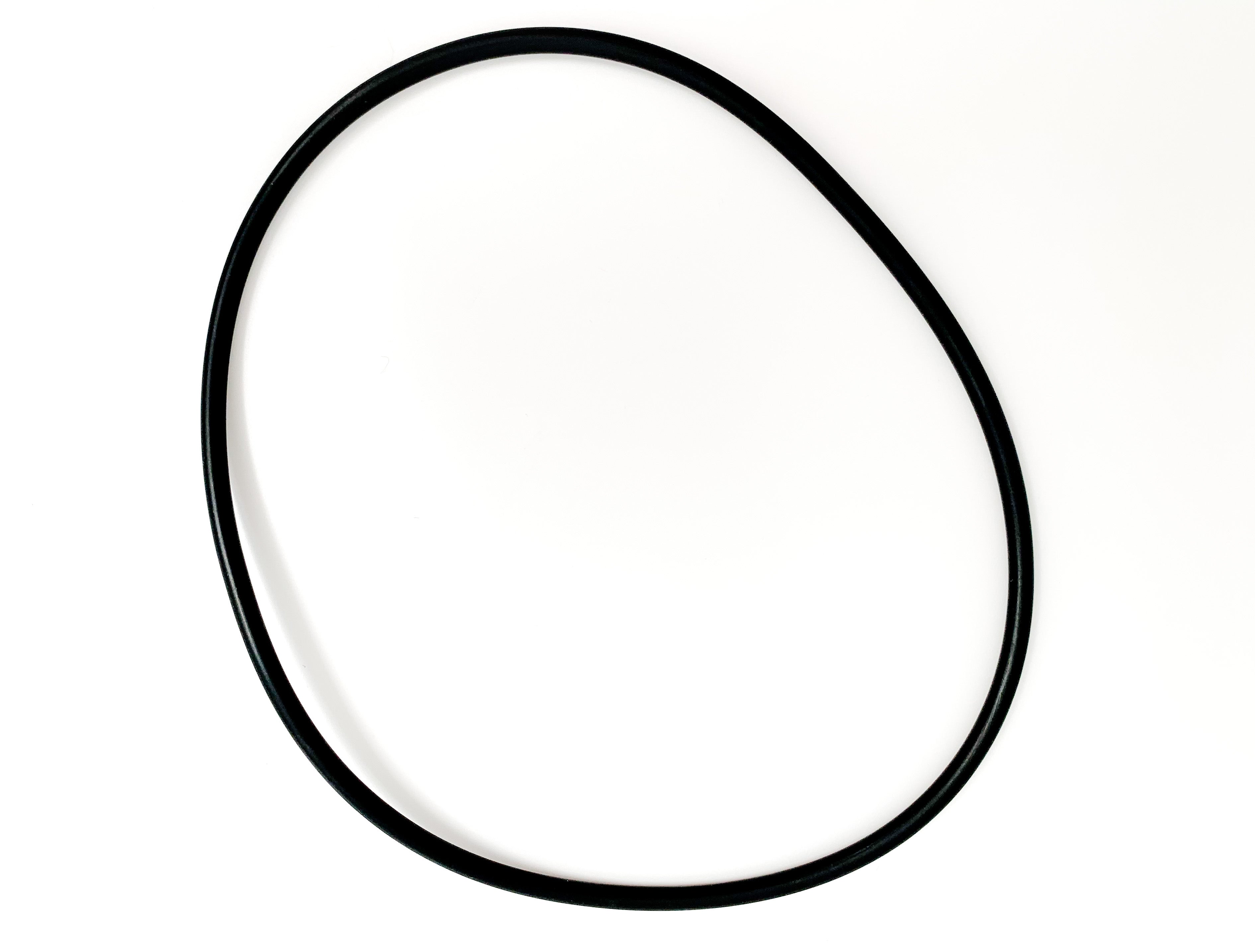 Tagelus O-Ring zu Ventil TA100 - Pool Me Up