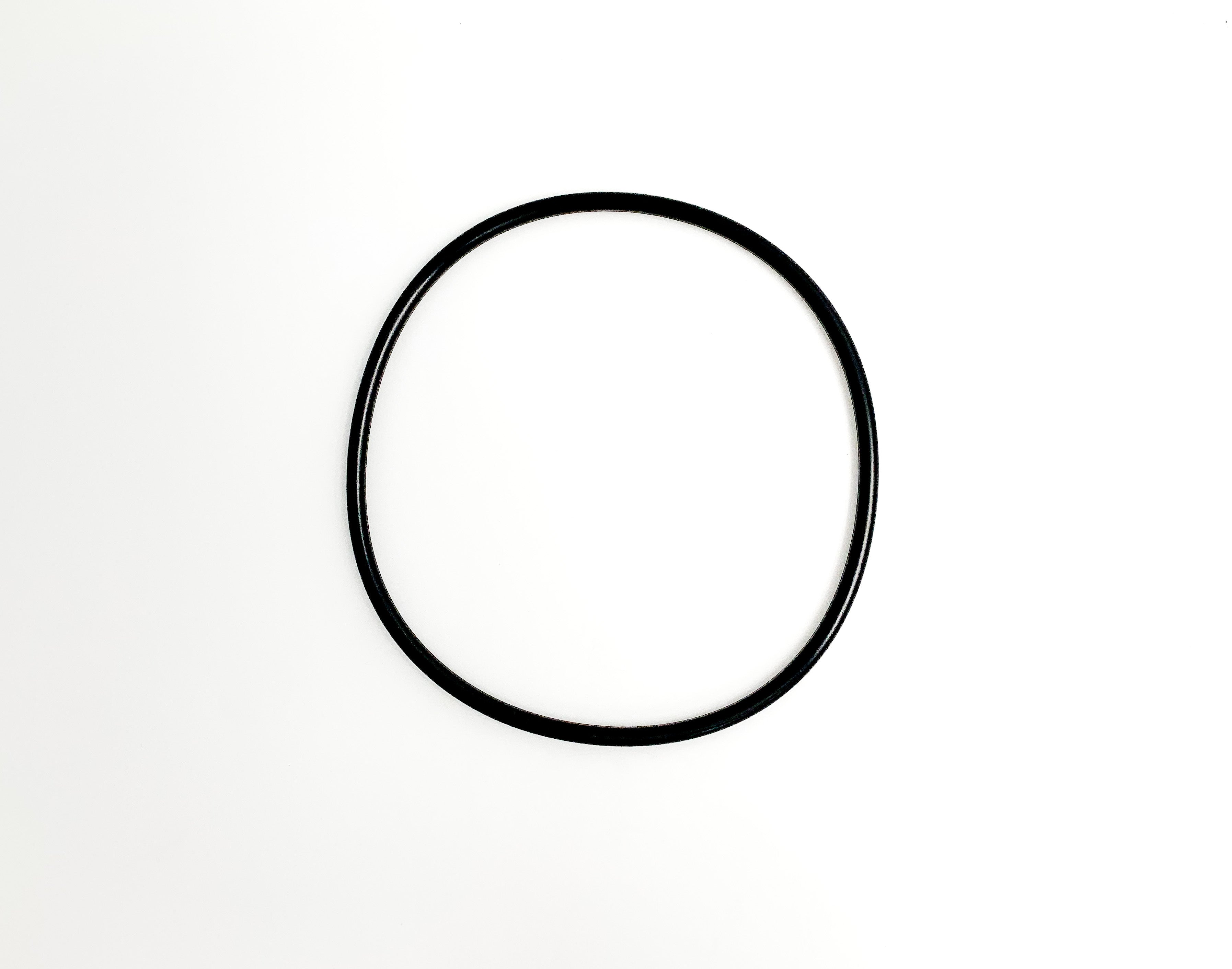 Pantera O-Ring Filter-Ventilsatz für alle Grössen - Pool Me Up