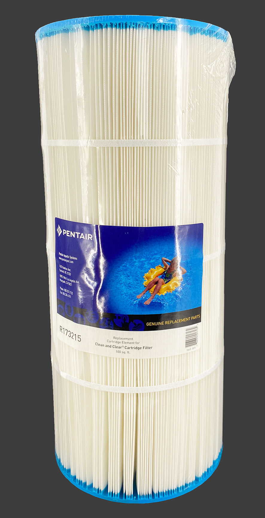 Pentair Ersatzkartusche Clean & Clear 9,3m2 - Pool Me Up