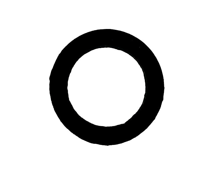 Flachdichtung für Übergangsverschraubung V4A 1/2" - Pool Me Up