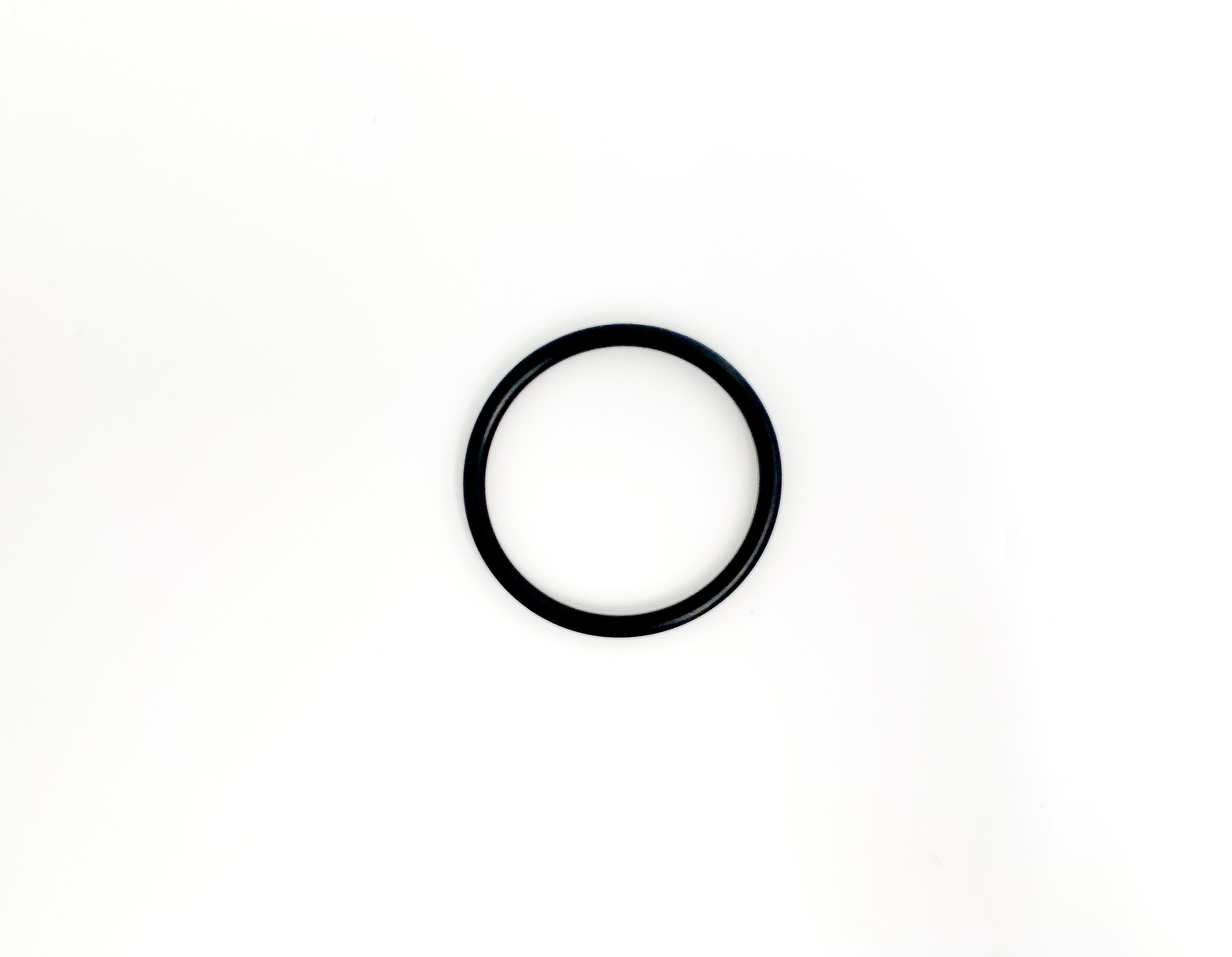 Fitstar O-Ring zu GSA Taifun Pos. 3 und Taifun Duo - Pool Me Up