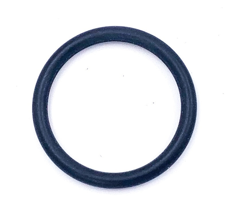 Jesco O-Ring zu Chlorsonde - Pool Me Up