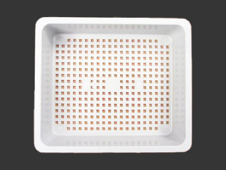 Skimmerkorb für 50 Sq. Ft. Waterway - Pool Me Up