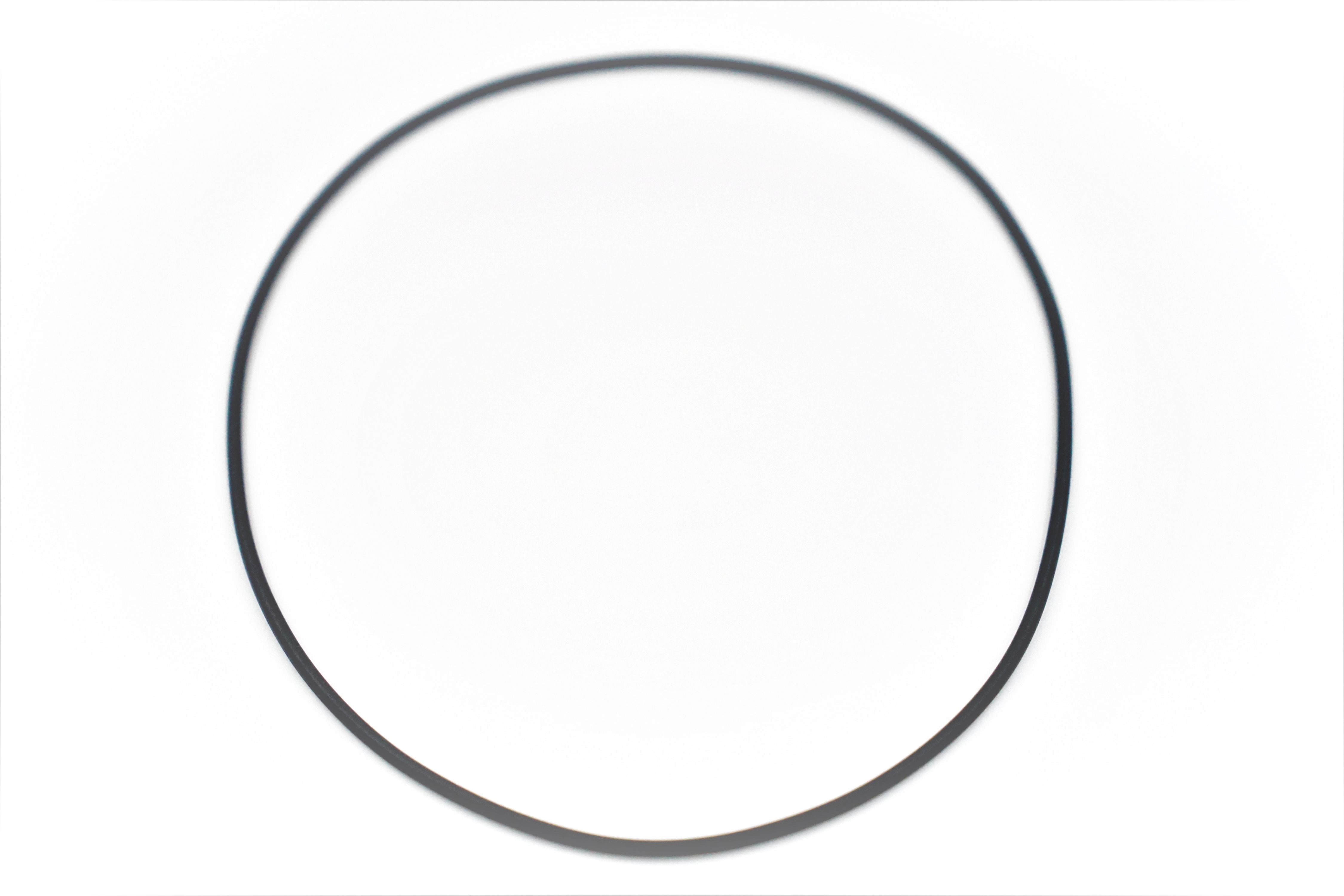 Allfit O-Ring 169x3 zu UWS - Pool Me Up