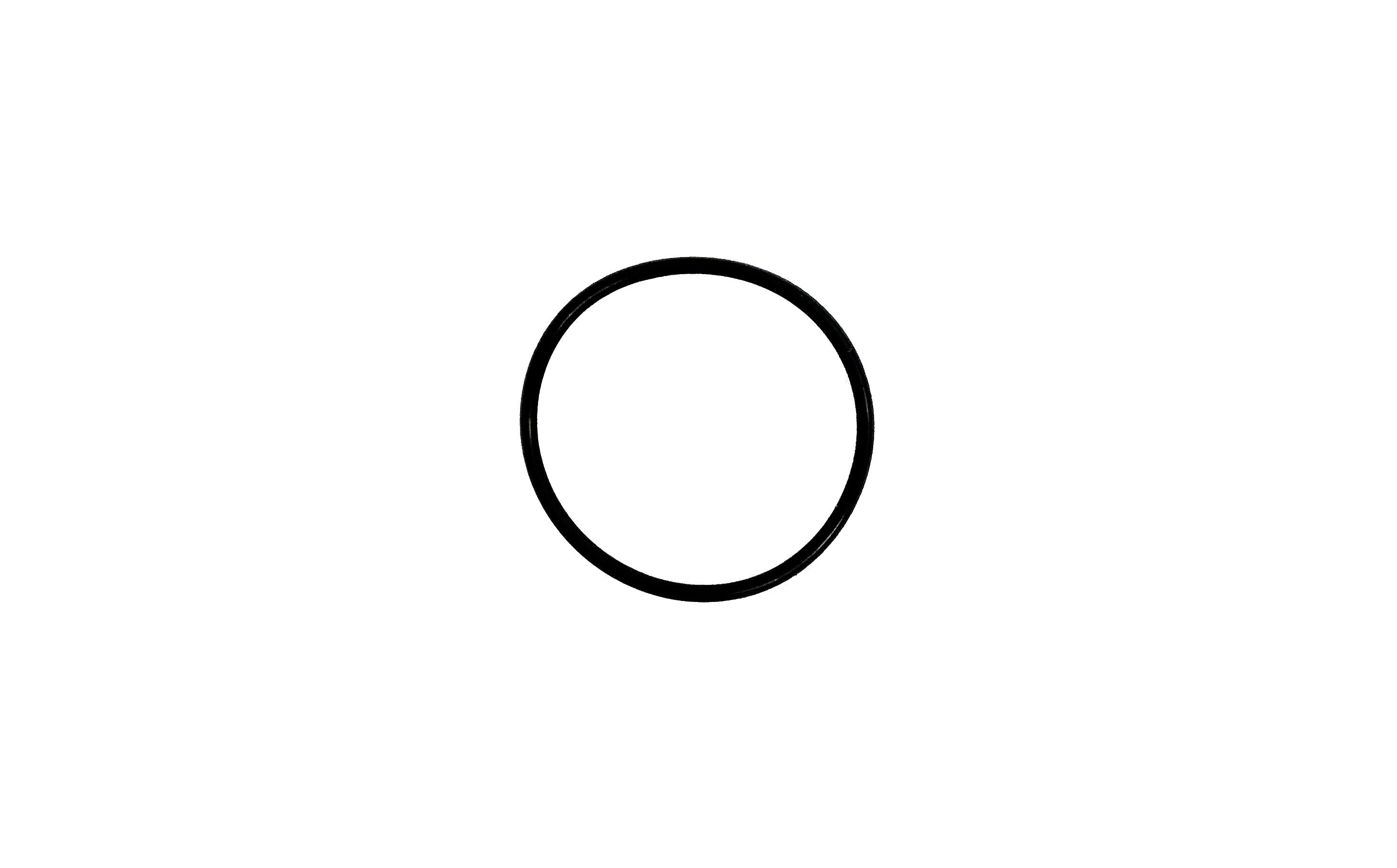 Allfit O-Ring 45x2,5 zu UWS - Pool Me Up