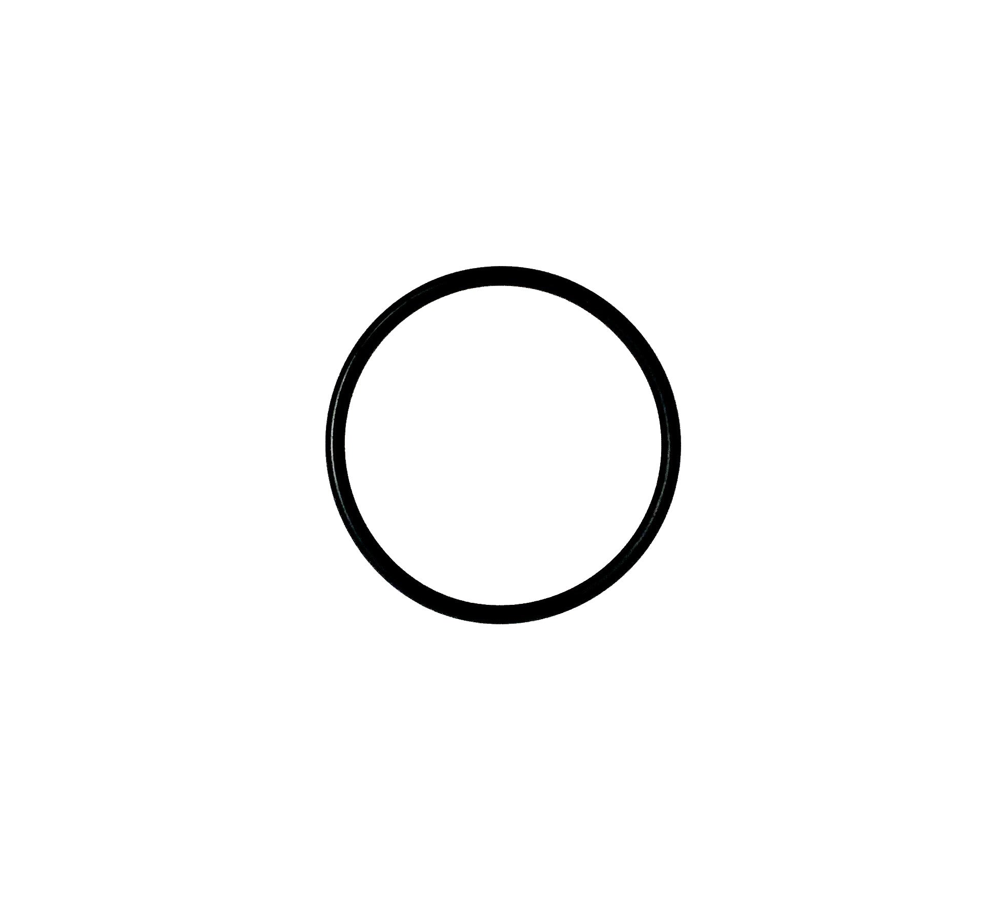 Allfit O-Ring 55x3,5 - Pool Me Up