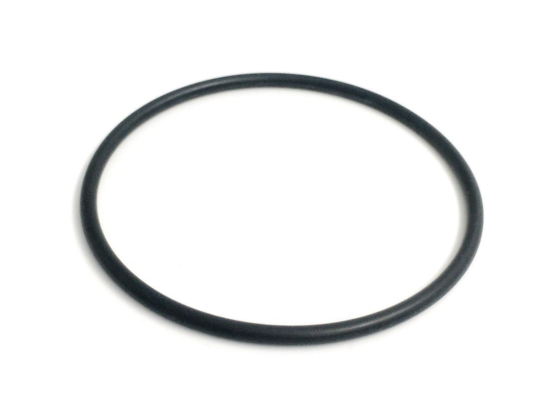 Apic F20 Perbunan Dichtung für Filtergehäuse - 171-061 - 4251228501589 - Pool Me Up