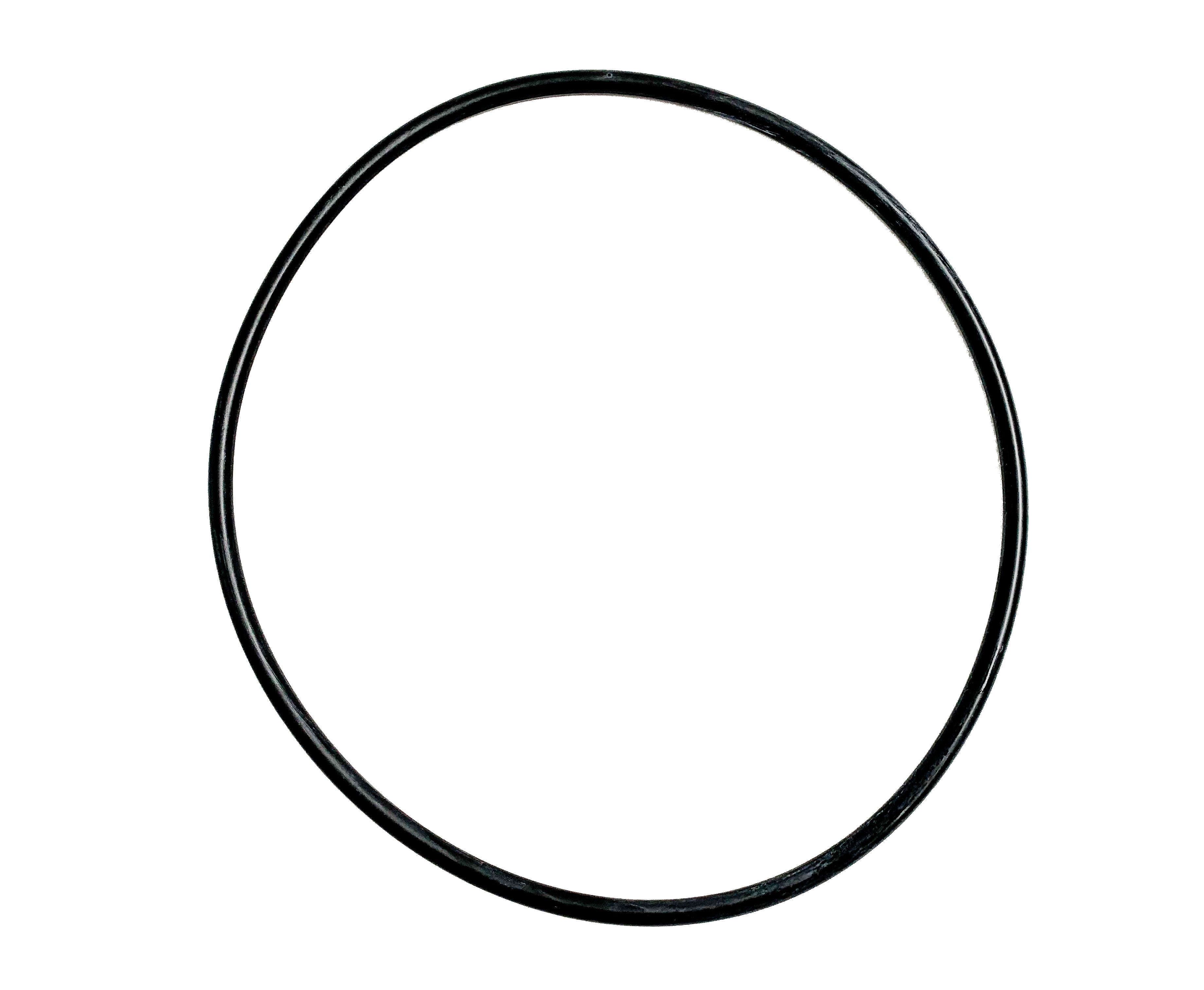 Clean & Clear O-Ring Gehäuse - Pool Me Up