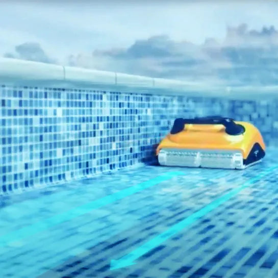 Dolphin W20 - Pool Me Up