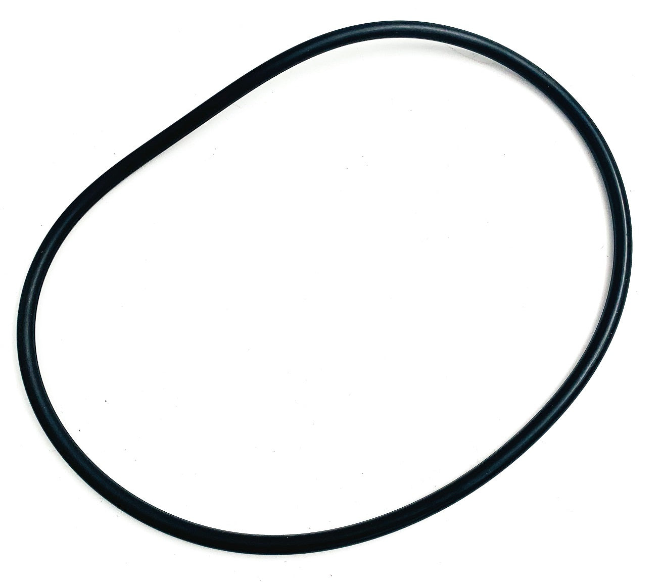 Dynaglas Gehäuse-O-Ring - Pool Me Up